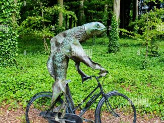 découvrez les meilleures offres de vols à vélo depuis kettering. profitez de paysages pittoresques, d'itinéraires captivants et d'une aventure inoubliable en pédalant à travers cette charmante ville. réservez votre expérience dès maintenant!