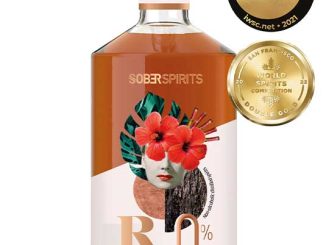 découvrez des alternatives sans alcool savoureuses et créatives pour profiter de vos moments festifs. explorez notre sélection de boissons raffinées qui allient plaisir et bien-être, idéales pour toutes les occasions.