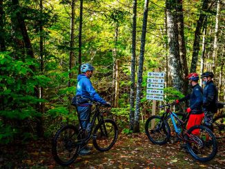 découvrez les liens cyclables entre steeprock et bathurst, idéaux pour les amateurs de vélo et de nature. profitez de paysages pittoresques tout en parcourant des itinéraires sécurisés et adaptés aux cyclistes de tous niveaux.
