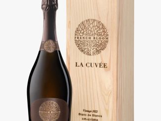 découvrez notre cave parisienne dédiée aux vins sans alcool, offrant une sélection raffinée de crus exquis aux saveurs authentiques. idéale pour des moments de partage et de convivialité, notre collection vous permettra de savourer l’art du vin sans les effets de l’alcool. explorez nos choix diversifiés et redécouvrez le plaisir de déguster.
