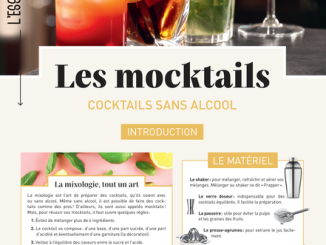 découvrez notre sélection de mocktails rafraîchissants et innovants, parfaits pour toutes les occasions. profitez de recettes savoureuses sans alcool qui émerveilleront vos invités et rehausseront vos soirées.