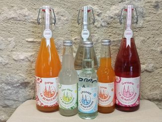découvrez notre sélection variée de breuvages sans alcool, parfaits pour toutes les occasions. que ce soit pour une fête, un apéritif entre amis ou un moment de détente, explorez des recettes rafraîchissantes et savoureuses qui séduiront vos papilles sans l'ivresse.